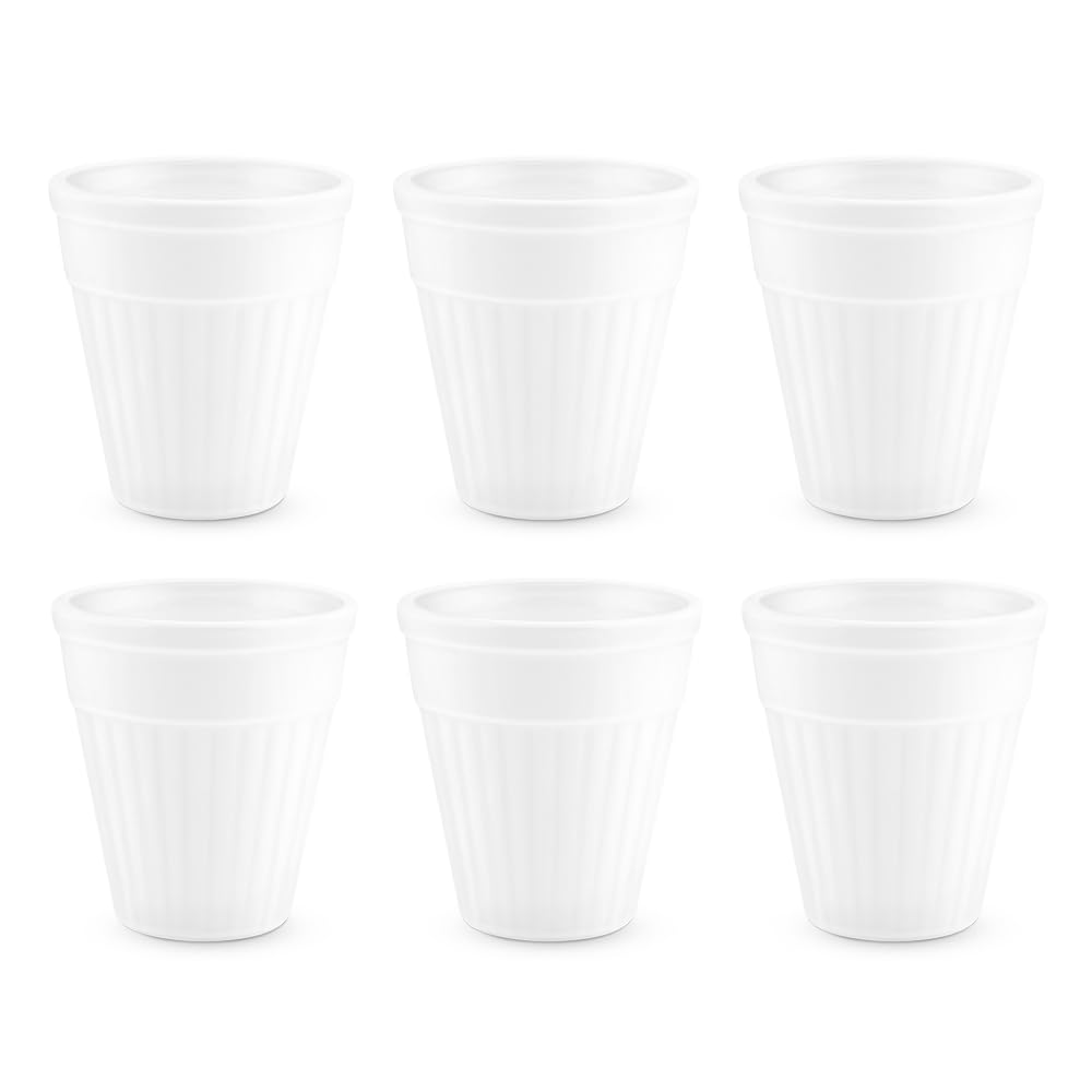 Larah by Borosil 6 Pcs Tea/coffee Opalware Kulhad Set | 200 Ml Each