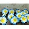 Artificial Big Foam Hawaaii Fake Foam Water Floating Flowers Blue