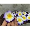 Artificial Big Foam Hawaaii Fake Foam Water Floating Flowers Purple