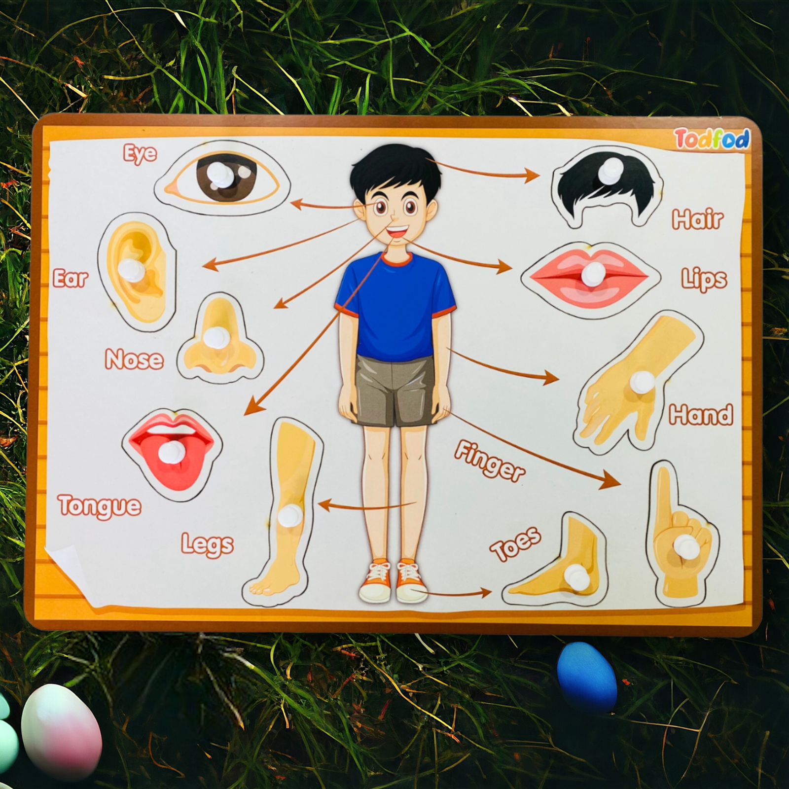 ABCD Body Parts Wooden Knob & Pegged Puzzle for Kids