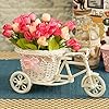 Cycle Shape Flower Vase with Peonies Bunches for Home Decor (19 cm x 21 cm)