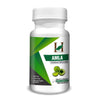 H&C Herbal Ingredients Expert Amla/Indian gooseberry Capsules 450mg - 120 Capsules