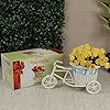 Cycle Shape Flower Vase with Peonies Bunches for Home Decor (19 cm x 21 cm)