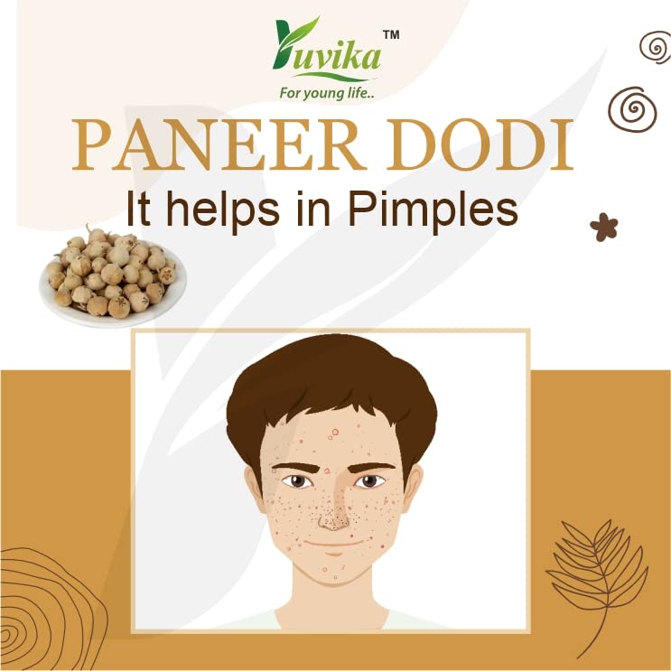 Yuvika Paneer Dodi - Paneer Ke Phool - Withania Coagulan