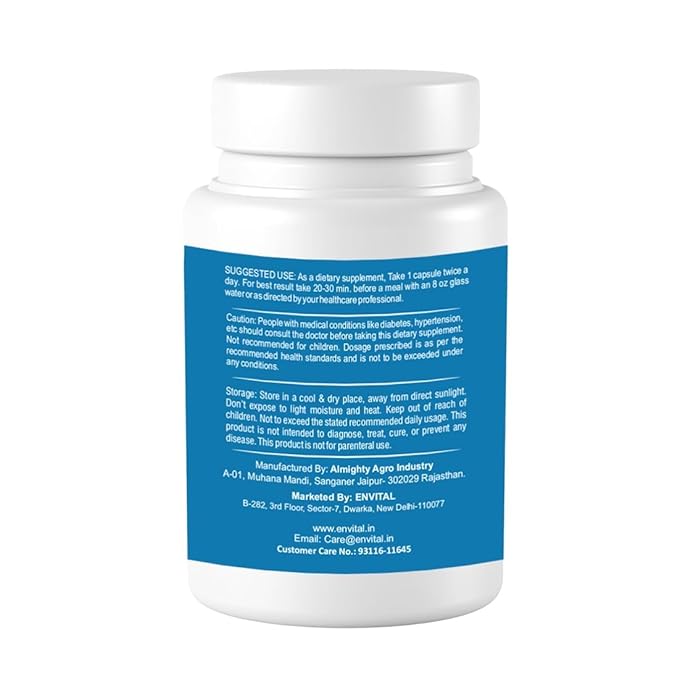 Envital Eyevital Supplement - 60 caps