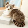 Tickles Cute Cat Soft Stuffed Plush Animal Toy for Kids 21 Cm