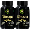 Fij Ayurveda Premium Shilajit/shilajeet Extract Capsule Pack of 2 - 60 Caps