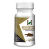 H&C Herbal Ingredients Expert Licorice/Mulethi 450 mg - 120 Veg Capsules