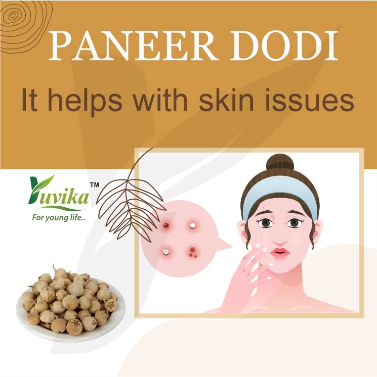 Yuvika Paneer Dodi - Paneer Ke Phool - Withania Coagulan