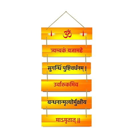 Sehaz Artworks Wall Hangings Decorative Items for Home Home Decor Items Stylish Living Room  - 6-0026