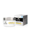 Olay Day Cream Natural White Fairness Moisturiser SPF 15 - 50 gms