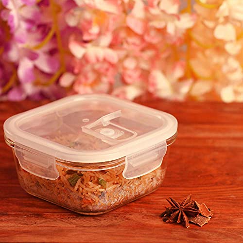 Femora Borosilicate Glass Containers for Kitchen | Storage Box for Kitchen With Air Vent Lid | Set of 2 | 500 Ml Each