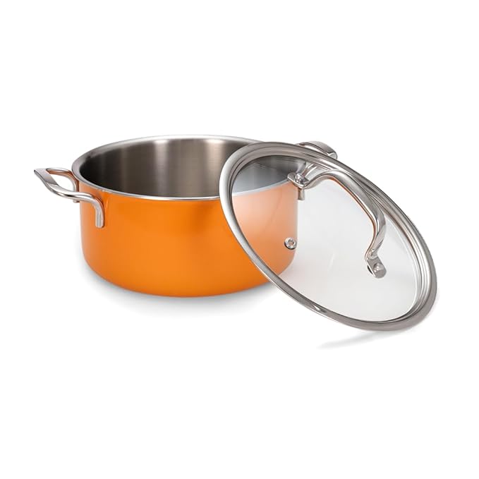 Arttdinox Vida Stainless Steel Triply Pot With Glass Lid for Biryani | Pulao | Halwa | Curries | 20 Cm | 3 Ltr | Induction & Gas Base