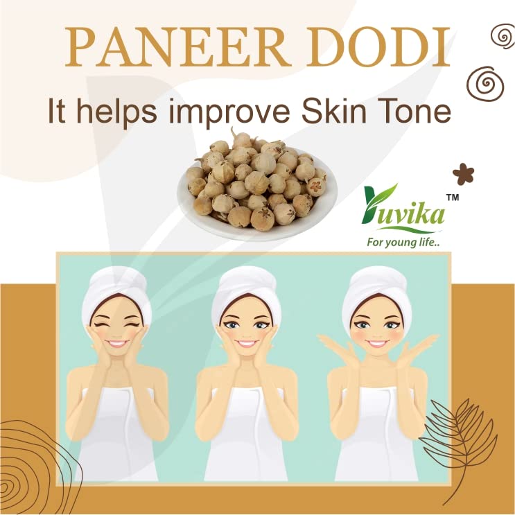 Yuvika Paneer Dodi - Paneer Ke Phool - Withania Coagulan