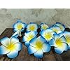 Artificial Big Foam Hawaaii Fake Foam Water Floating Flowers Blue