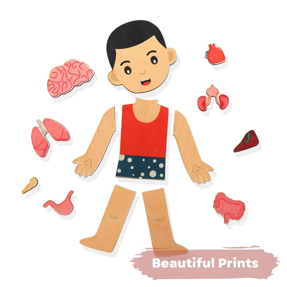 NESTA TOYS Montessori Learning Wooden Puzzle | Human Body Anatomy Puzzle for Kids  | Gift for Boys & Girls Ages 3 4 5 6 Years