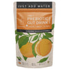 Iyurved Family Prebiotic Gut Drink Powder Orange - 175 gms