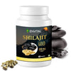 Envital Shilajit 800 mg - 60 caps