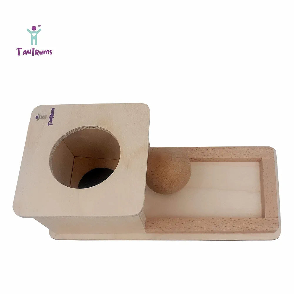 Tantrums Montessori Object Permanence Box with Tray and Ball Montessori Toys for Infant 6-12 Month 1 Year Old Toddlers | Early Childhood Development Learning Toys for Motor Skill Development