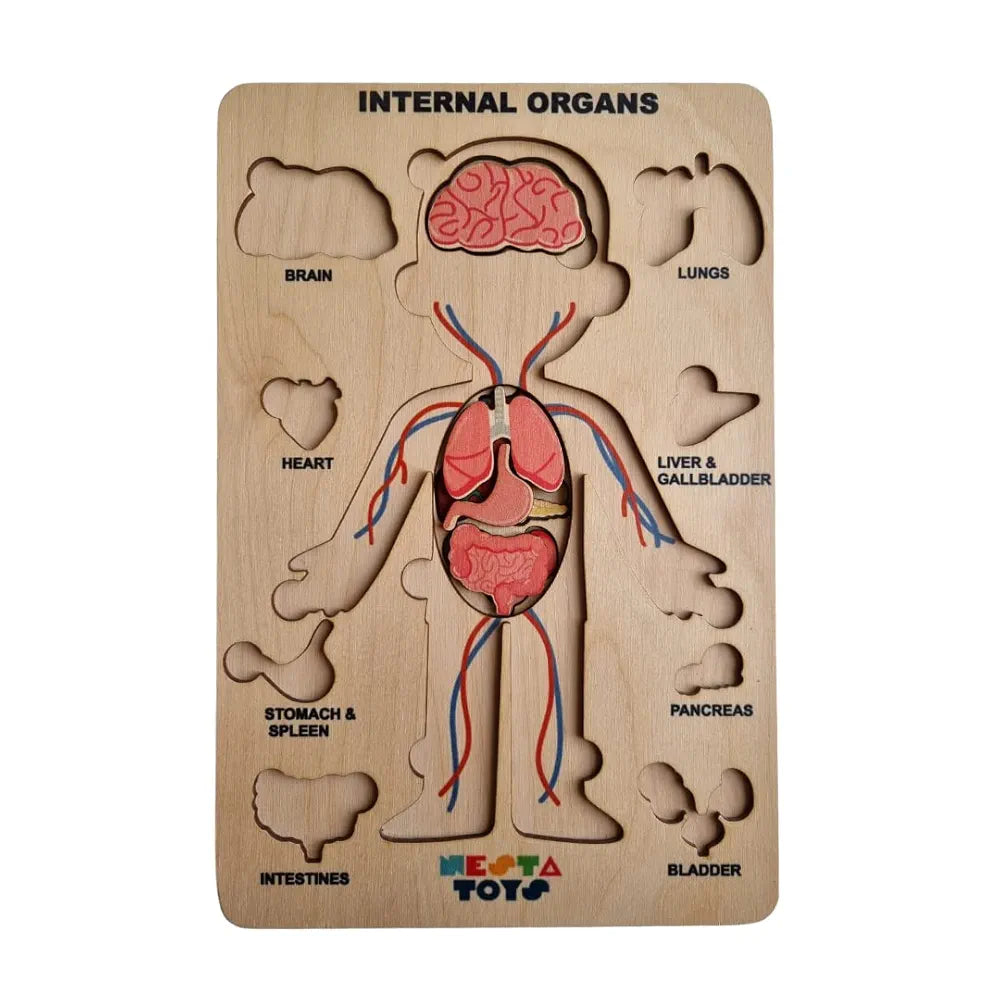 NESTA TOYS Montessori Learning Wooden Puzzle | Human Body Anatomy Puzzle for Kids  | Gift for Boys & Girls Ages 3 4 5 6 Years
