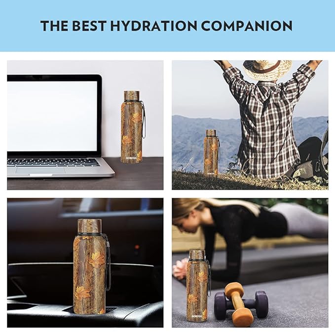 Borosil Hydra Trek Mapple 700 ml Stainless Steel Water Bottle