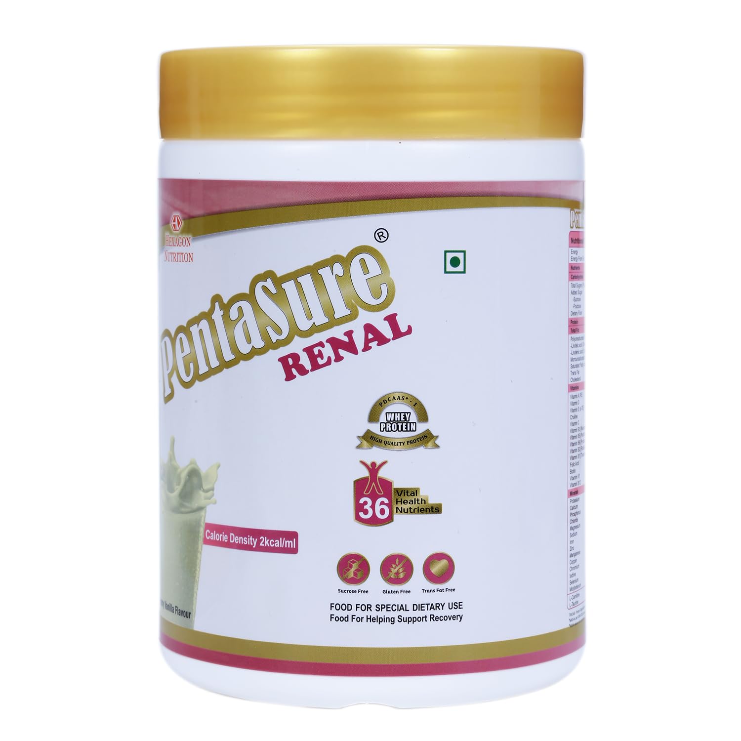 Pentasure Renal - Creamy Vanila - 400 gms