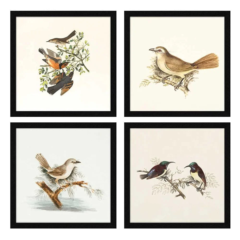 ArtX Paper Birds Wall Art Painting Framed Paintings Set of 4