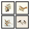 ArtX Paper Birds Wall Art Painting Framed Paintings Set of 4