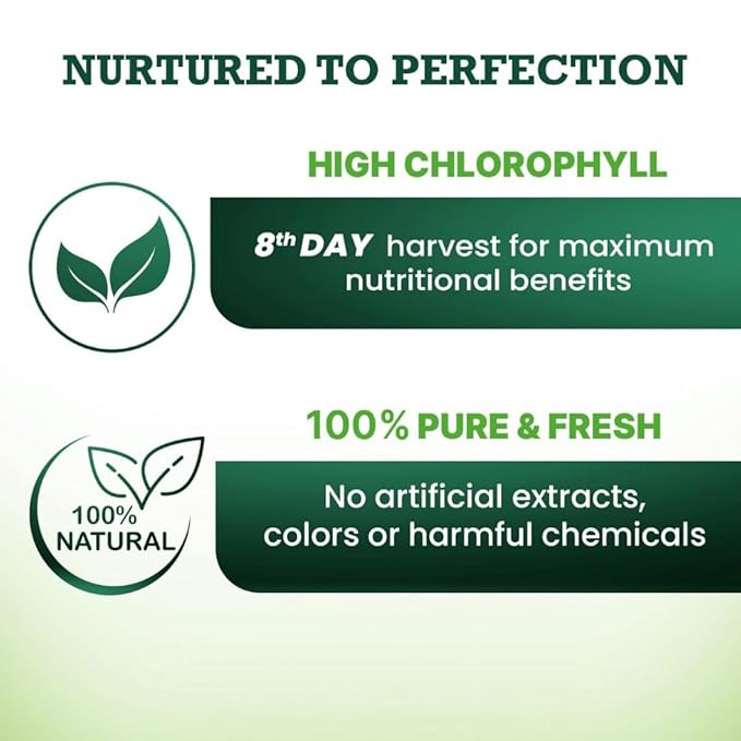 Baidyanath Vansaar  Wheatgrass Juice - 500 ml