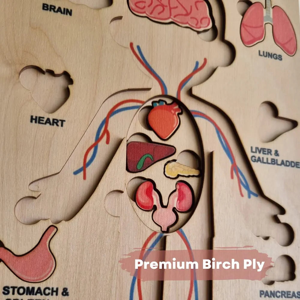 NESTA TOYS Montessori Learning Wooden Puzzle | Human Body Anatomy Puzzle for Kids  | Gift for Boys & Girls Ages 3 4 5 6 Years