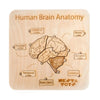 Nesta Toys Montessori Wooden Puzzle Human Brain Anatomy Puzzle for Kids