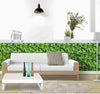 Jaamso Royals New Green Grass Wallpaper for Walls Wall Stickers for Kitchen Wallpaper 10