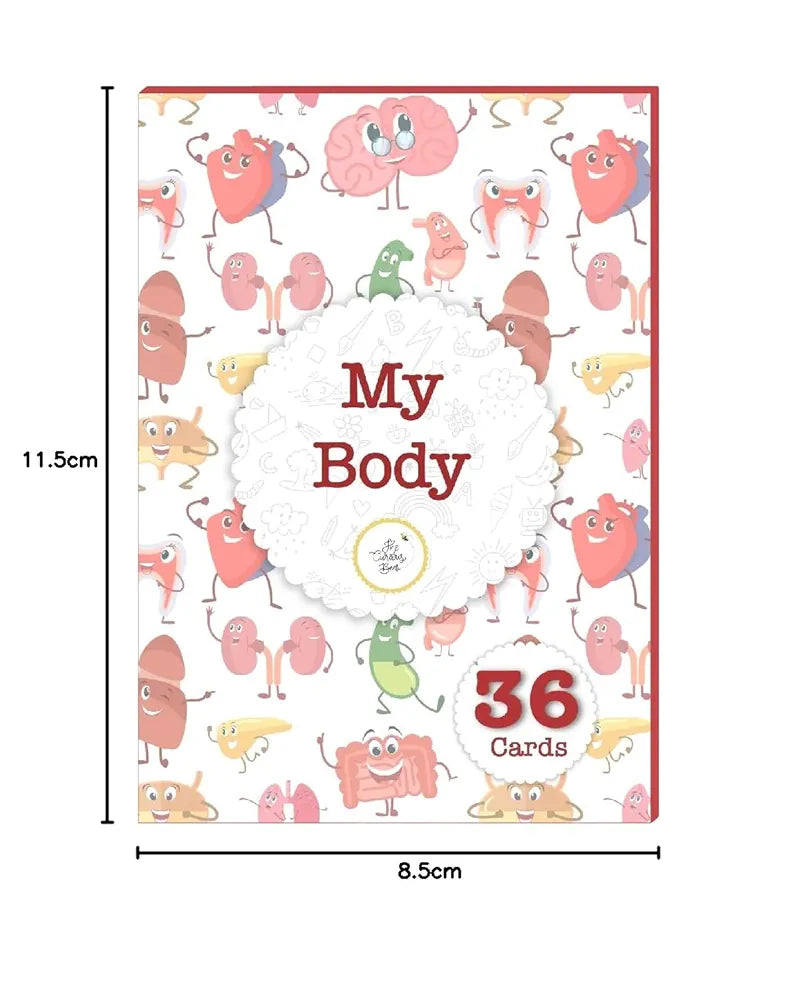 The Curious Bees - My Body Flash Cards | 36 Laminated Cards for Kids | Age Group: 2-4 Years | Science Education Fun Activity for Kids