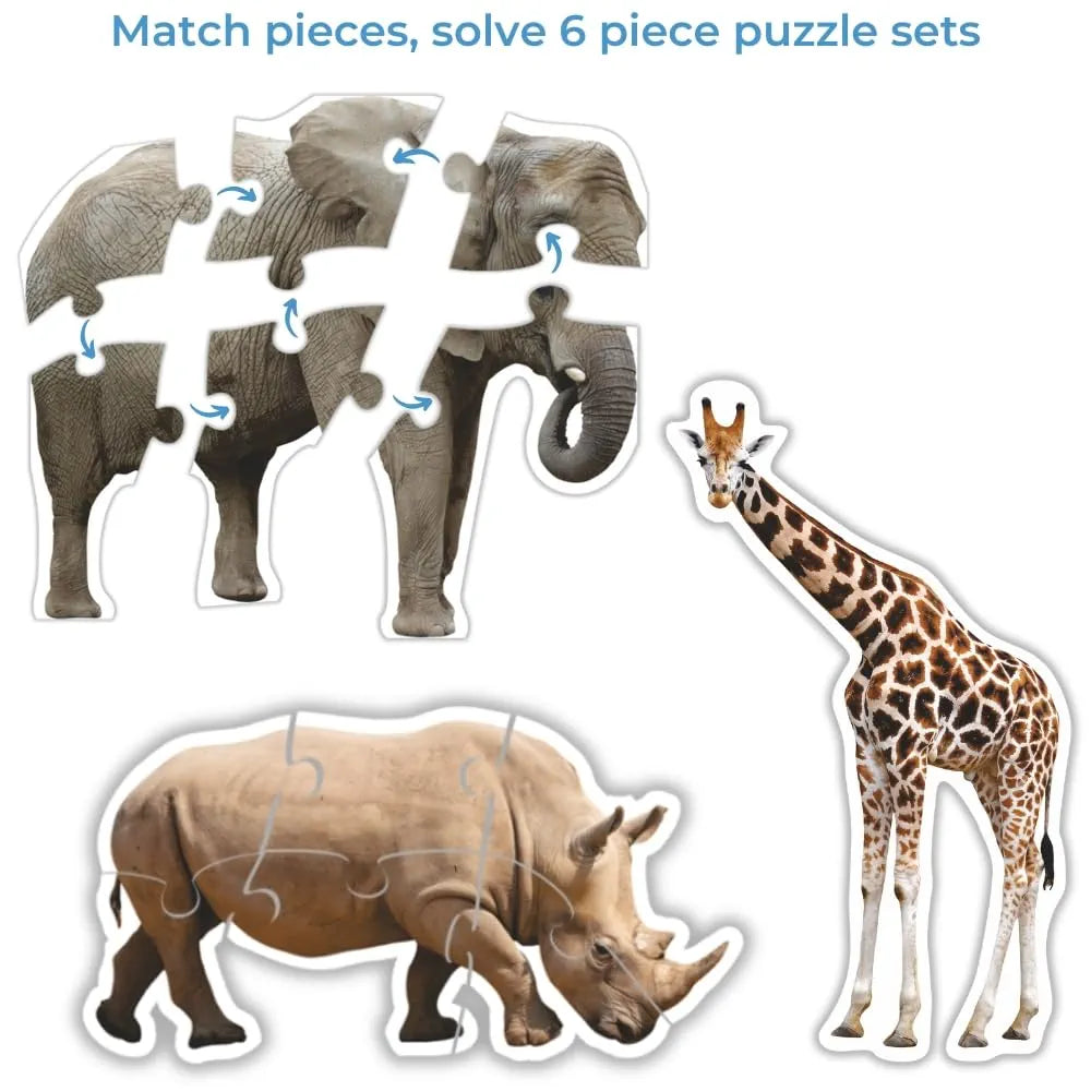Toykraftt Jungle Animal Puzzles for Kids Aged 3 to 5 Year Olds| 4, 5, & 6 Piece Puzzles for Toddlers