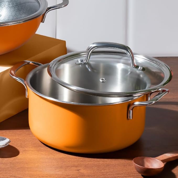 Arttdinox Vida Stainless Steel Triply Pot With Glass Lid for Biryani | Pulao | Halwa | Curries | 20 Cm | 3 Ltr | Induction & Gas Base