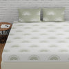 Huesland by Ahmedabad Cotton 144 TC Cotton Bedsheet for Double Bed King Size with 2 Pillow Covers | Sunrise | White and Basil Green