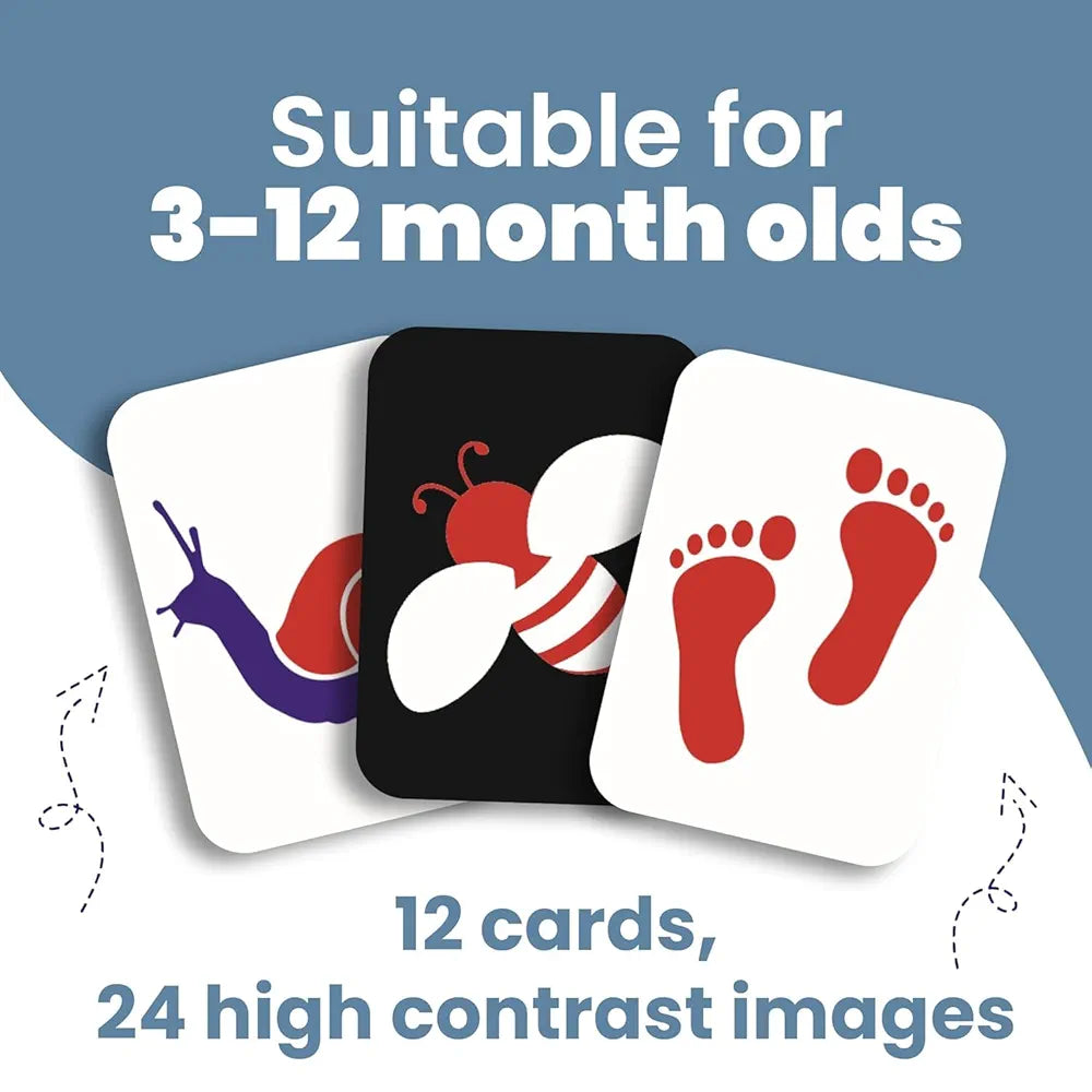 The Curious Bees - Visual Stimulation New Born Anti-Glare Cards | 24 Objects for Visual Colour Stimulation, Cognitive & Sensory Development of 6-12 Month Old Kids