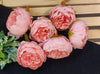 6 Pcs Artificial Fabric Rose Flower Heads Handmade Peony Style Flowers Light Pink