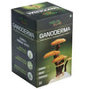 Nature Sure Ganoderma - 60 caps
