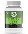 Holy Natural Alfalfa Leaf Powder Capsules - 120 Caps