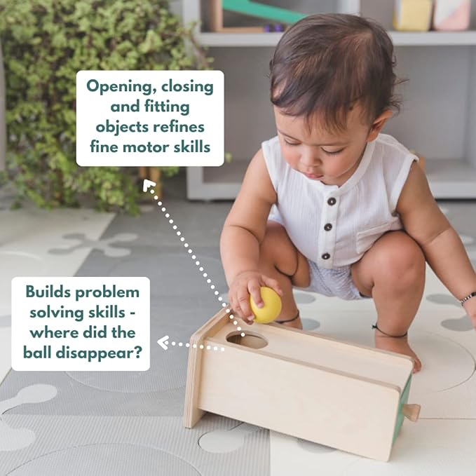 Curious Cub Montessori Learning Wooden Toys Box | Box 5 |improve & Develop Language Memory Skills