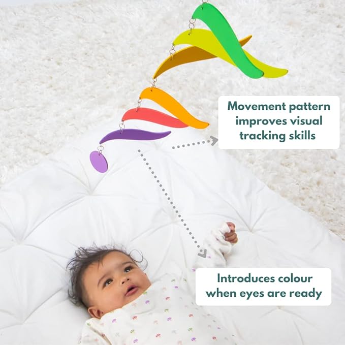 Curious Cub Montessori Learning Wooden Toys