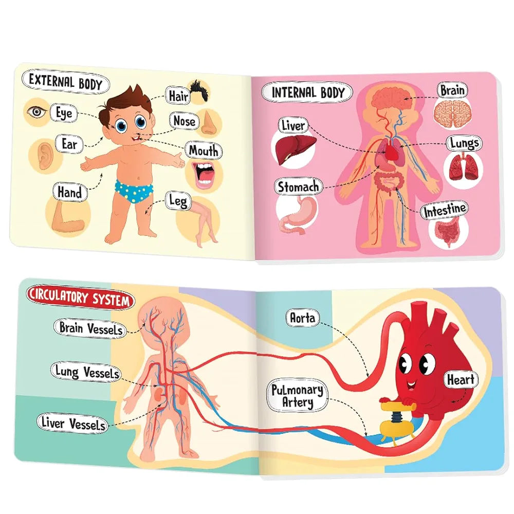 The Book Tree Picturepedia of My Body I Board Book for Kids Age 2+ I Bright & Colourful Pictures I Easy-to-Read Word Labels I Builds Vocabulary I Early Learning Picture Books for Children by Majestic Book Club