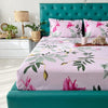 Urban Space Serene Cotton Bedsheet for Double Bed 2 Pillow Covers (Colour Bloom ray Rose Pink)