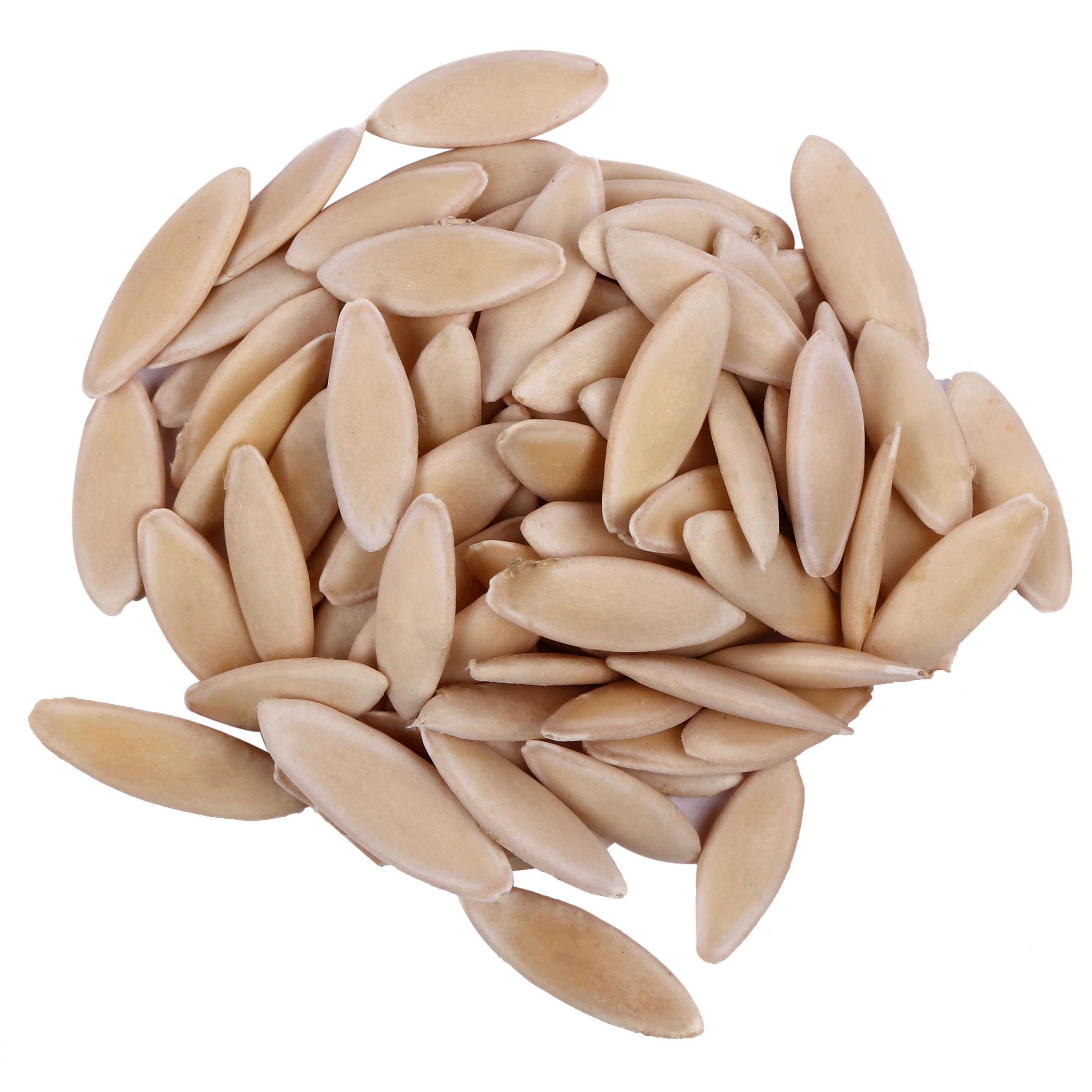 Yuvika Kheera Beej - Magaz Kheera - Khira Magaj - Cucumis Sativus - Cucumber Seeds