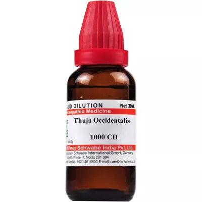 Dr. Willmar Schwabe India Thuja Occidentalis Dilution