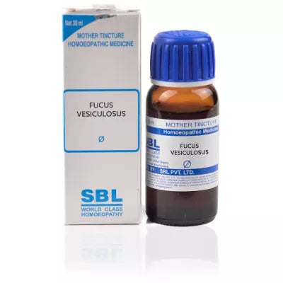 SBL Homeopathy Fucus Vesiculosus Mother Tincture Q