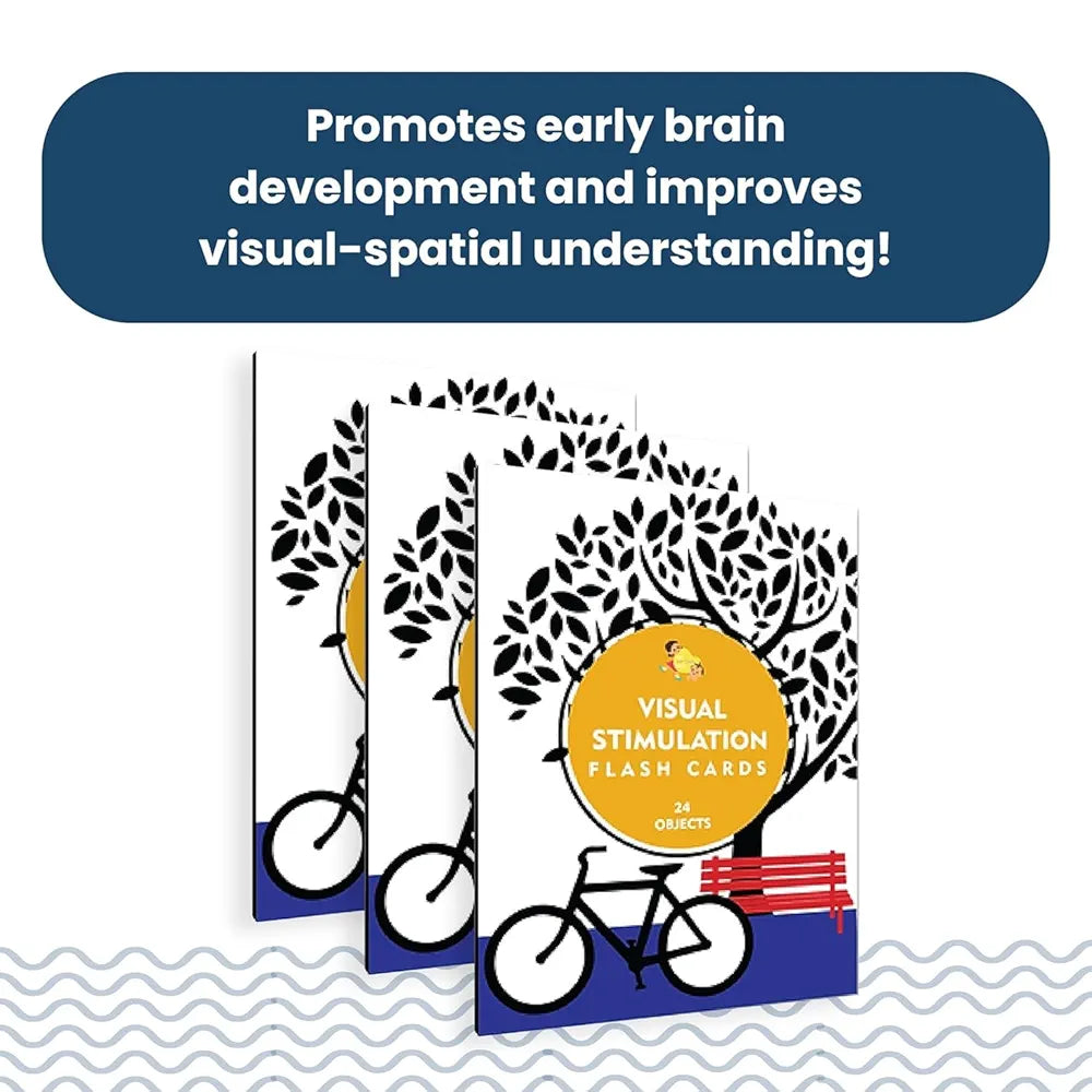 The Curious Bees - Visual Stimulation New Born Anti-Glare Cards | 24 Objects for Visual Colour Stimulation, Cognitive & Sensory Development of 6-12 Month Old Kids