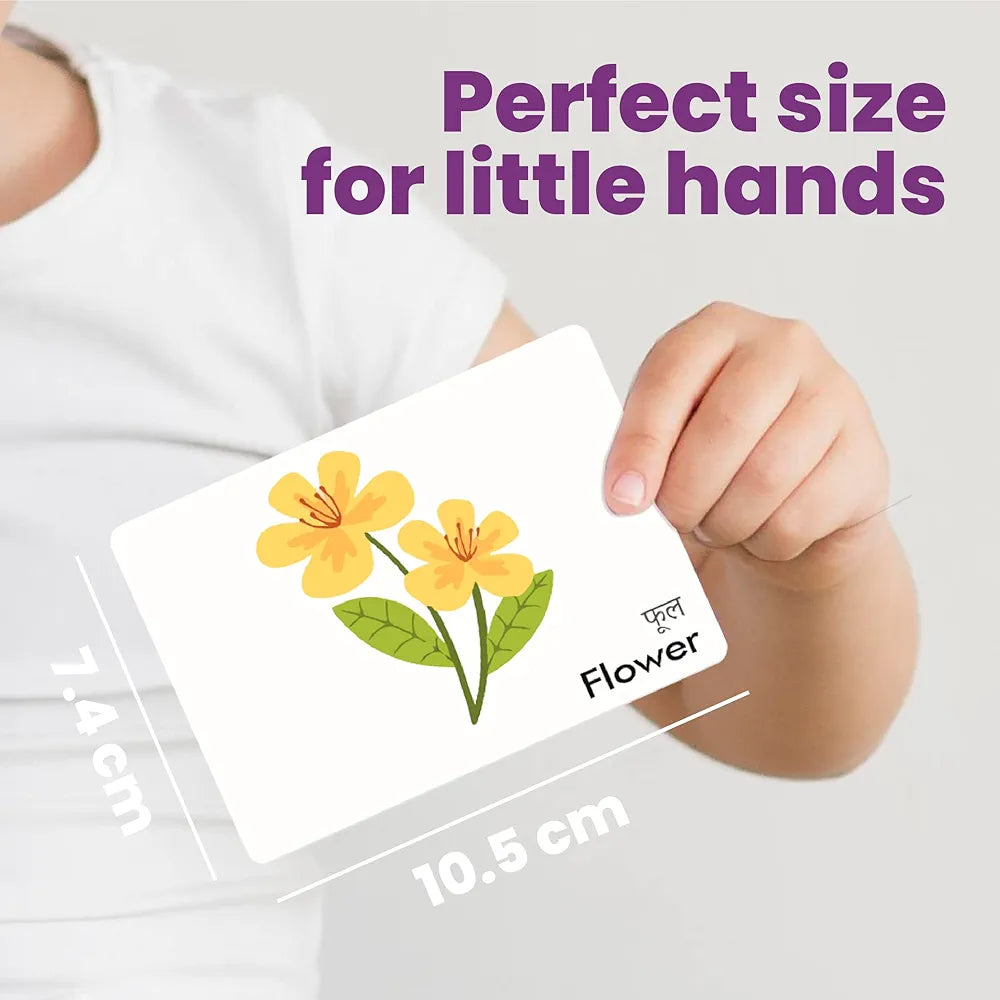 The Curious Bees - Everyday Objects | 36 Laminated Anti-Glare Cards | Montessori Inspired Fun & Easy to Learn Toys for Kids