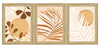 ArtX Paper Boho Botanical Wall Painting Set of 3